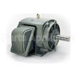 P1256 Teco Medium Voltage Motor