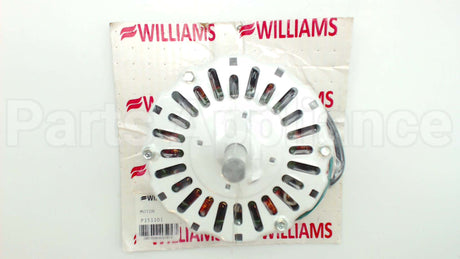 P151101 Williams Comfort Products 120V 1Spd Motor