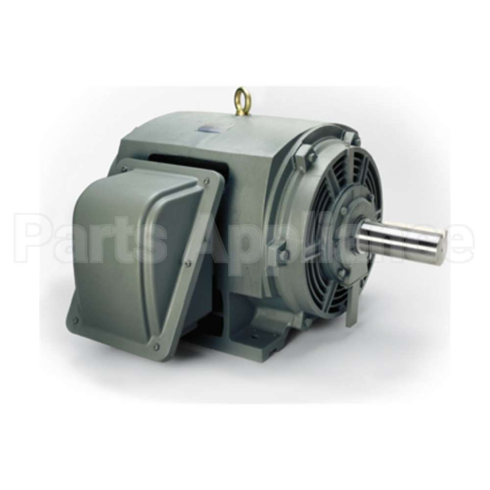 P3006R Teco Medium Voltage Motor