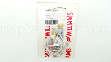 P322398 Williams Comfort Products Pilot Assembly, Powerpile Gen