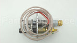 P323700 Williams Comfort Products Pilot Assembly