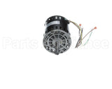 P4848B Aaon 1/4Hp 208-230V Inducer Motor
