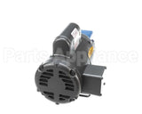 P5046383 Pitco Pump, Mtr. 5Hp 240V 50Hz