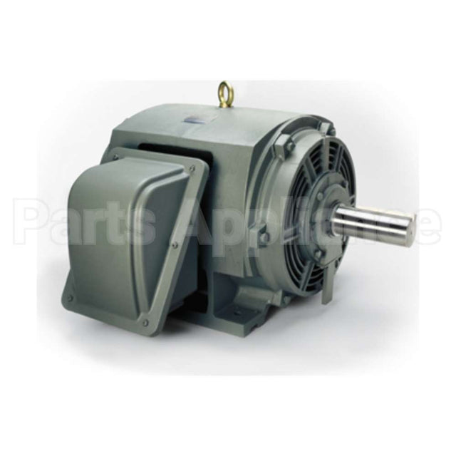 P8002 Teco Medium Voltage Motor