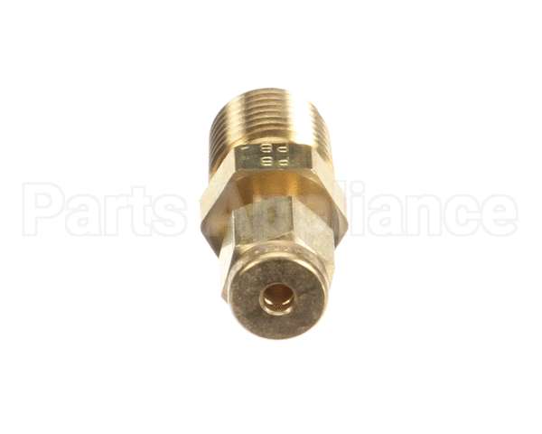 P8841-19 Anets Prb,Fitng 1/8 Tube X 1/4 Mnpt