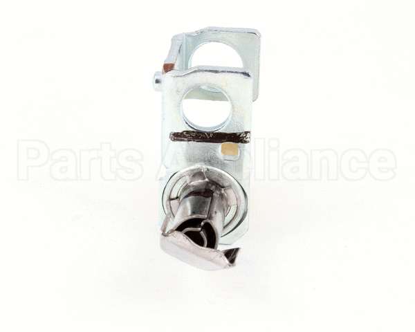 P8903-47 Anets Plt,Standing 14Gs