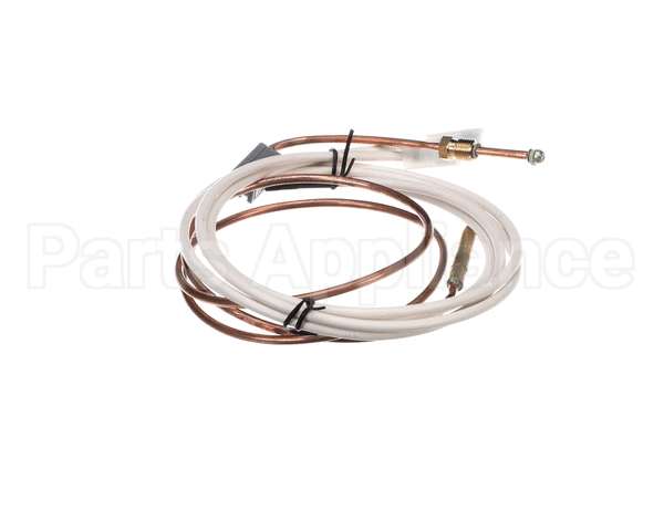 PD62398 Rosito Bisani High Btu Thermocouple