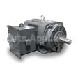 PG4006 Teco Medium Voltage Motor