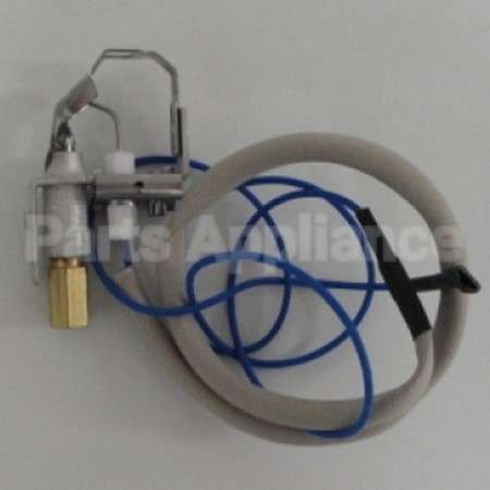 PIT0218 Trane Pilotburner/Flamesensorassmbly