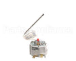 PS2438 Winston Thermostat Hi Limit Ca03-29 Ce