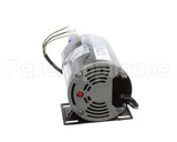 PS2727 Winston Pump Motor Assembly F662/F552 120V