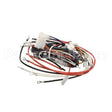 PS2809 Compatible Winston Harness Complete Pf56/46C