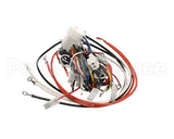 PS2809 Winston Harness Complete Pf56/46C