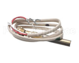 PT-20101F006 Patriot Cooking Thermopile