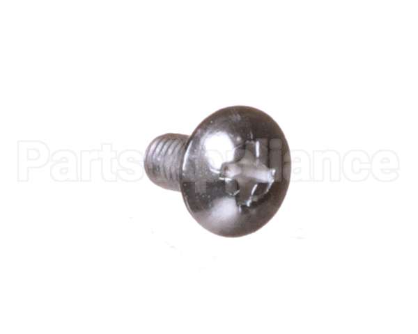 PT-507024 Patriot Cooking Body Screw Bag Of 10