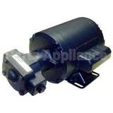 PTPP10101 Compatible Pitco Motor Pump Assy