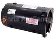 Q3302V1 Regal Rexnord - Century Motors 208-230/460V3Ph 3Hp 3450Rpm Mt