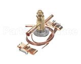 R002681 Rpi Industries Txv Valve