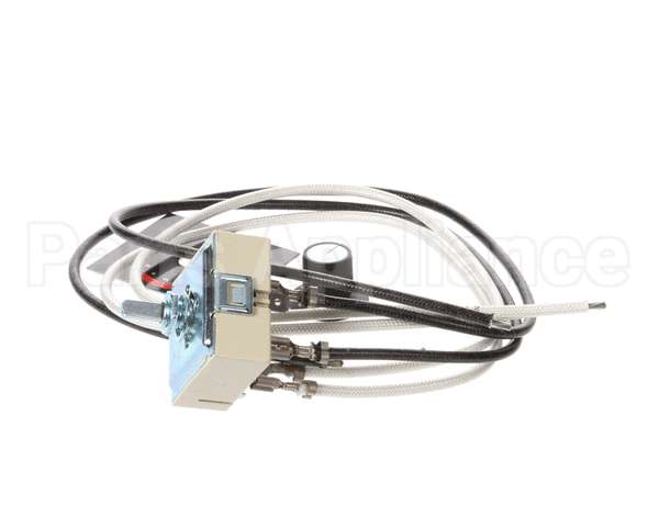R02.19.160.00 Hatco Kit,100V Infinite Switch&Leads