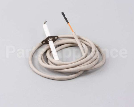 R10052 American Range Electrode,70Assembly Arr-Gril