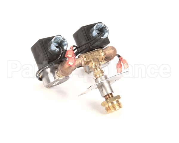 R11386 Blodgett Assembly,Dual Solenoid
