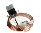 R17090 Aaon Temp/Rh Duct Sensor,24Ft