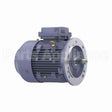 R252 Marathon Motor