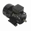 R313A Marathon Motor