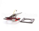 R3141 Blodgett Level Probe Assembly, Short