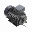 R317A Marathon Motor