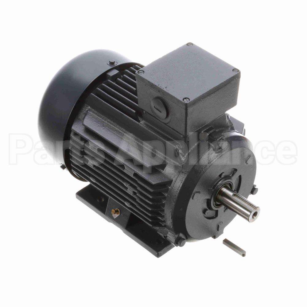 R317A Marathon Motor