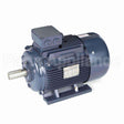 R338B Marathon Motor