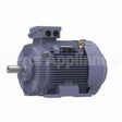 R349B Marathon Motor