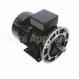 R394A Marathon Motor