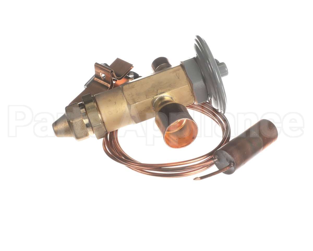 R75110 Aaon Expansion Valve R22