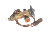 R75110 Aaon Expansion Valve R22