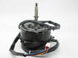 RC6600015 Carrier 220-240V 6Pole Motor