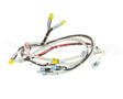 RD85SAE-19 Rankin Delux Wire Harness (1 Per Burner)