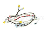 RD85SAE-19 Rankin Delux Wire Harness (1 Per Burner)