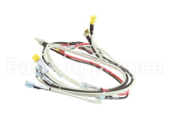 RD85SAE-19 Rankin Delux Wire Harness (1 Per Burner)