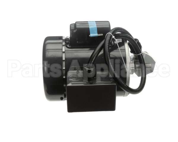 RE816653 Picard Ovens 230V Motor With Plug Re48Re816