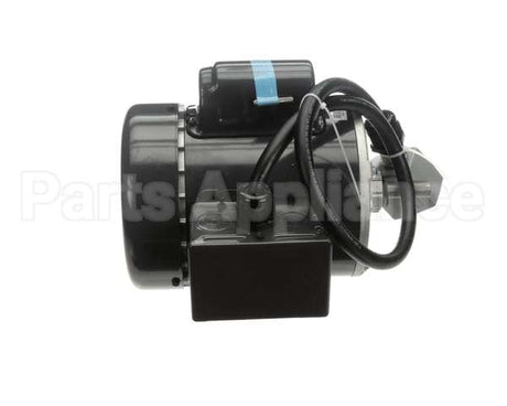 RE816653 Picard Ovens 230V Motor With Plug Re48Re816