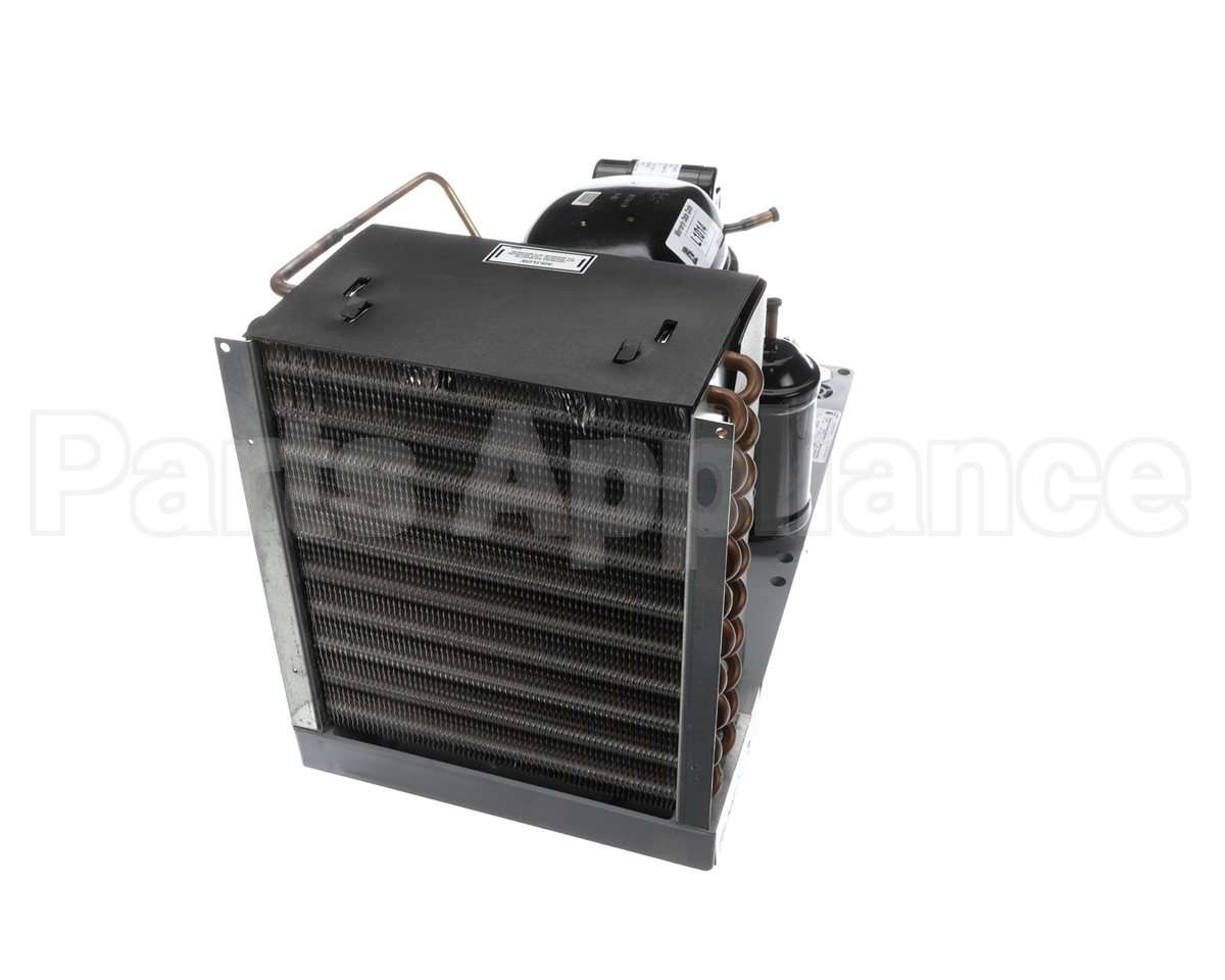 RF CON0106 Randell Cond Unit, 1/3 Lo R404 120V (Aea2411Zxae
