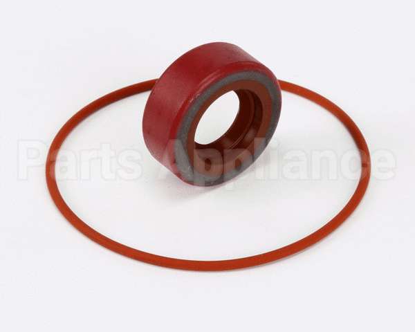 RK0004 Bki Repair Kit, Haight Pump