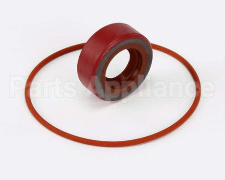 RK0004 Bki Repair Kit, Haight Pump