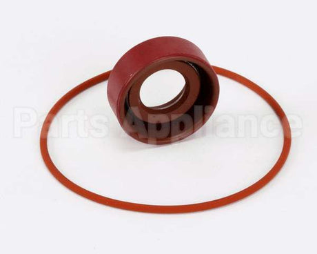 RK0004 Bki Repair Kit, Haight Pump