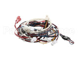 RPC13-442 Intermetro Dual Cav Wiring Harness Digit