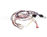 RPC13-560 Intermetro Harness