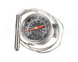 RPQC13-165 Intermetro Analog Thermometer