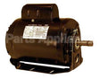 RS1054AV1 Regal Rexnord - Century Motors 1/2Hp 1725Rpm 115/230V 56F 1Ph